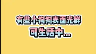  球球的新表情包诞生了有点方