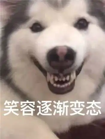 沙雕狗子表情包手办