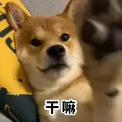  衣服都脱了,你跟我说这些