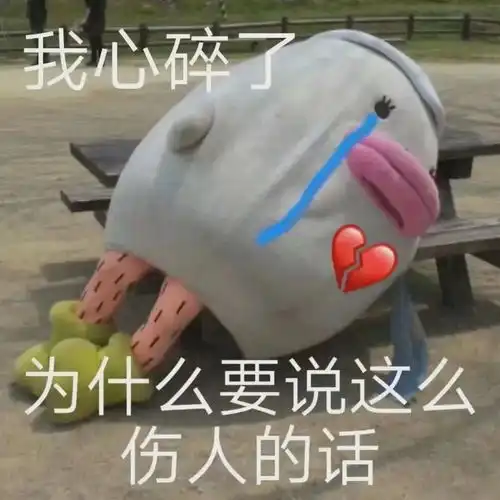 ins表情包动图上房揭瓦