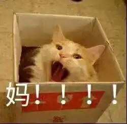  求喊妈表情包无字原图