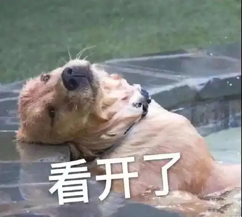 沙雕狗子表情包搞笑