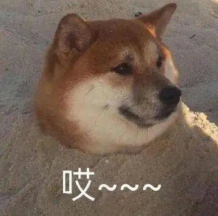  视频热传女孩在网约车内崩溃痛哭网友仿佛看到了自己