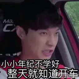 强吻表情包图片大全张艺