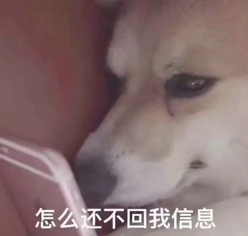  no.4各种猫猫狗狗小动物小可爱