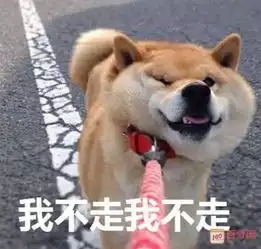 嫌弃我傻了吧唧表情包椰