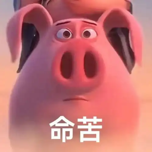  啊啊啊可可爱爱的飞天猪猪表情包来袭,火速囤货