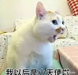 担心表情包猫咪惊愕