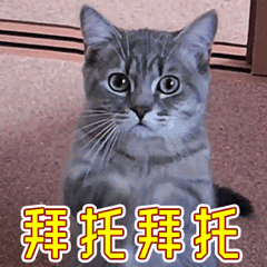 担心表情包猫咪鬼打墙