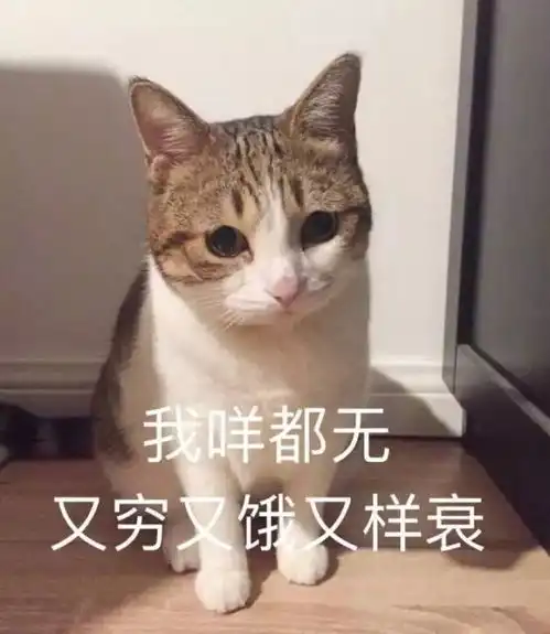  设计关注戏精学院现正招生