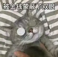  港真,找对象一定要找个这个圈子里的