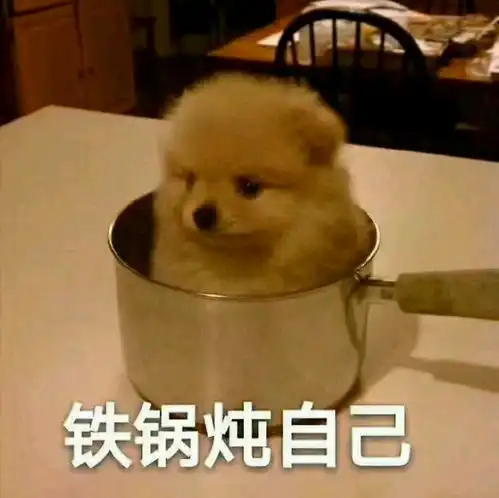  视频总是拍晃不存在的,5招稳像小技巧你值得拥有