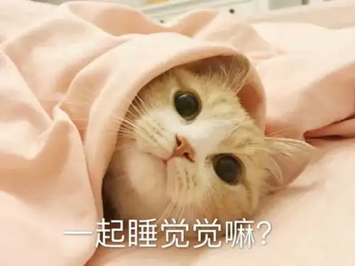 大家身边有没有那种盲目蜜汁自信的人