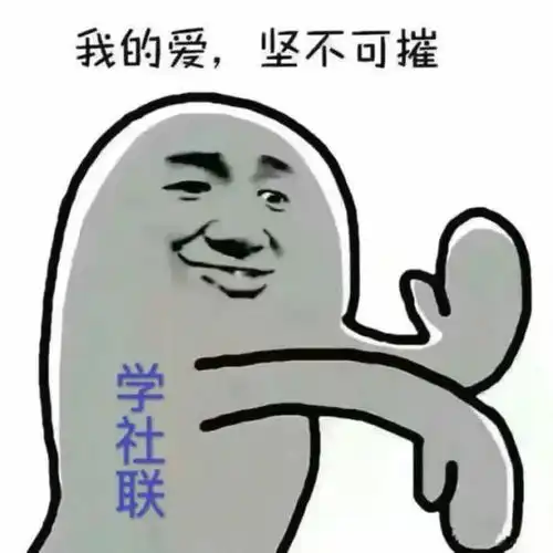  sau招新不要撞南墙,来撞入社联的胸膛