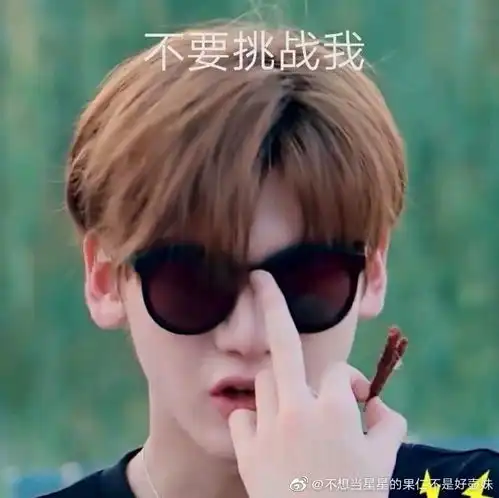  r1se表情包大户
