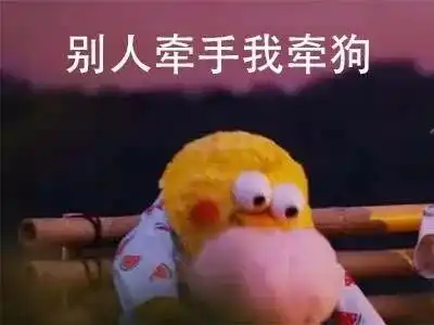 没错这就是我的日常扎心了 没错这就是我的日常扎心了