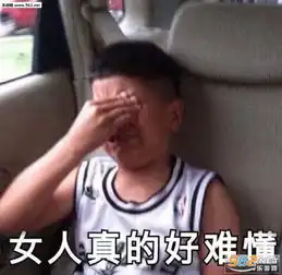 出来玩表情包别问