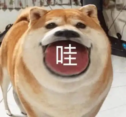 超级搞笑表情营养