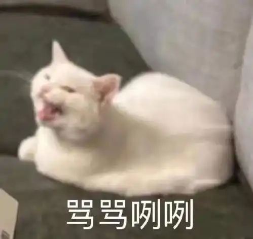  王一博摔车事件反转,保持所有成绩,多名车手支持胡通明