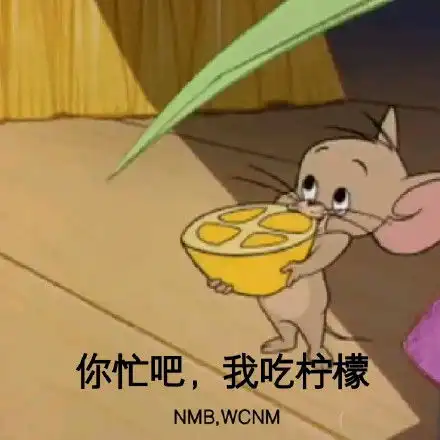 加菲猫表情包小视频猫和