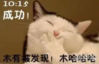  让人无语一个二狗子求职的搞笑历程