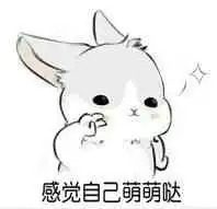  兔兔表情包堆糖,美好生活研究所