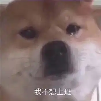 最全沙雕狗子表情包合辑年度最傻狗子都在这儿了