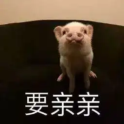  海口放心猪肉销售网点增至101家具体点位