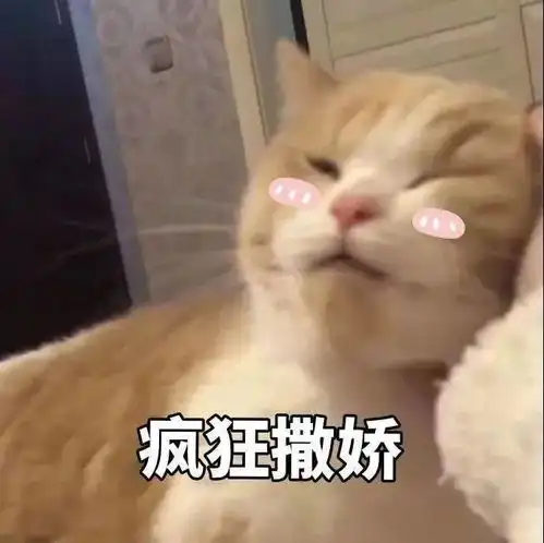 出来玩表情包奶茶