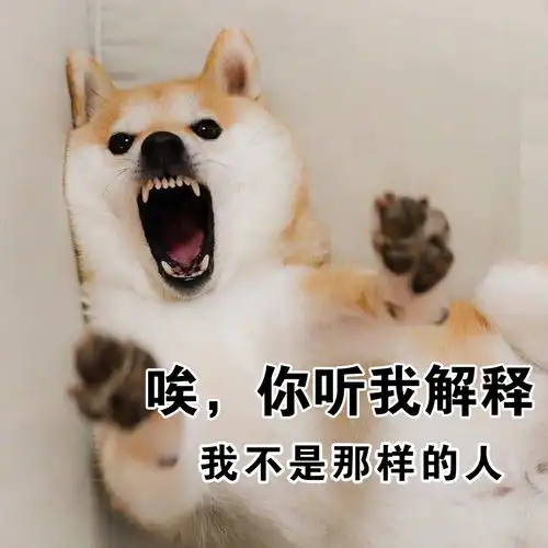  沙雕喵星人汪星人的表情包,你是要笑死我