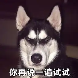  这些沙雕狗子表情包简直太适合你了