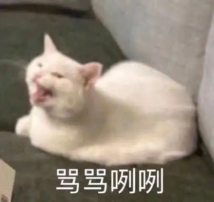  游戏重要还是我重要表情包