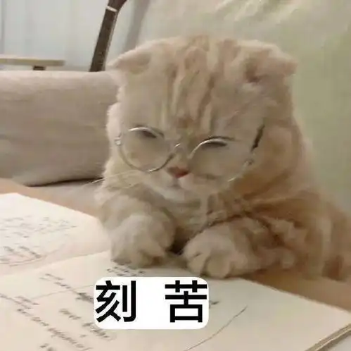 加菲猫表情包小视频超车