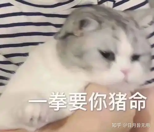 问对方在干嘛的表情包男