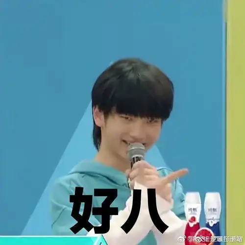  r1se表情包