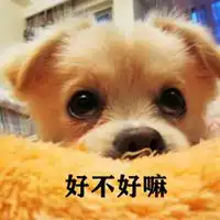  好不好嘛撒娇表情包微信头像图片大全