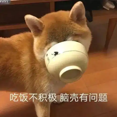  一波柴犬表情包,拿好不谢