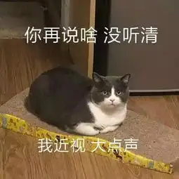 发工资表情包沙雕搞笑