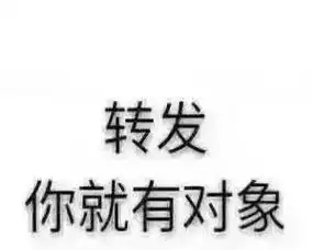  除甲醛,找鹏飞,值得信赖