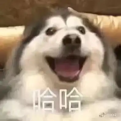  我知道你没猫,但撸狗子也可以很爽啊