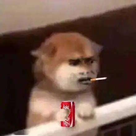  狂犬病常见的七个误区