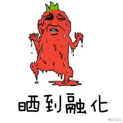  而你只能晒太阳表情包