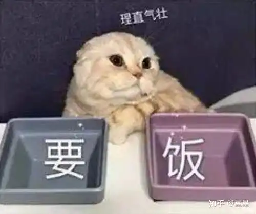  你有哪些可爱的表情包