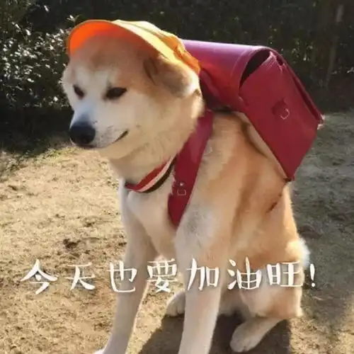  20多岁的时候你做过哪些令你受益终身的决定听听国外网友怎么说