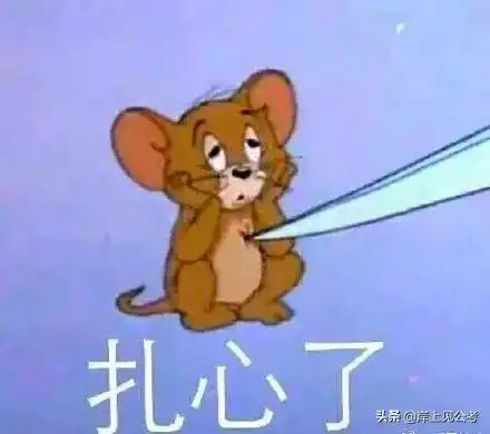  省考冲刺这么学,就能上岸吗能相信我