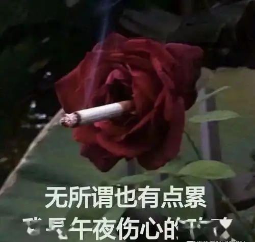  在电梯里捡了个男朋友...啊啊啊柠檬暴击