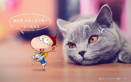  每日一笑今天下班,我和女友去小超市购物,老板全程警惕的跟着我们