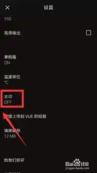  vue视频相机如何添加水印