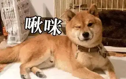  铲屎君们,有一天狗子会说话,你觉得它可能会说