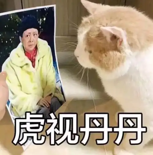 猫沙雕表情包搞笑